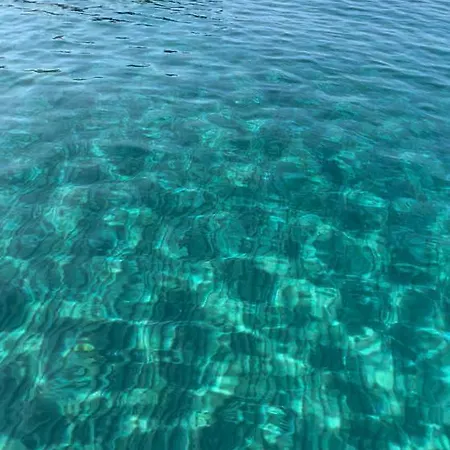 Appartement Taniandres *