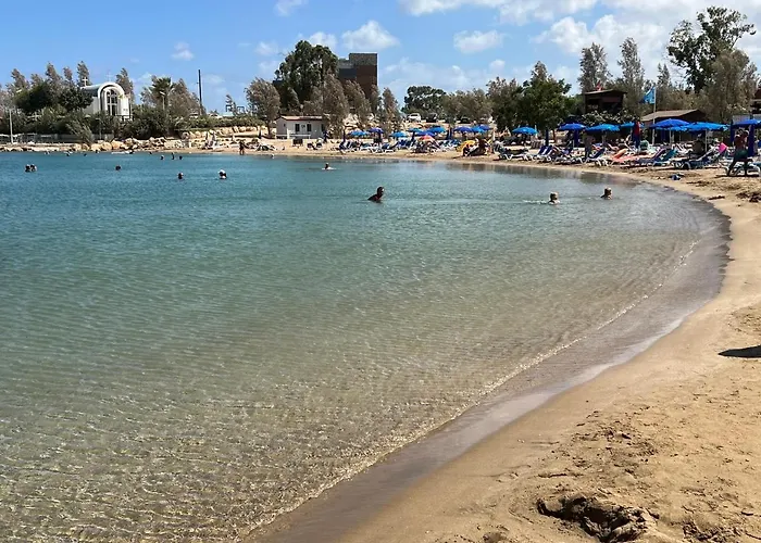 Taniandres * Paralimni