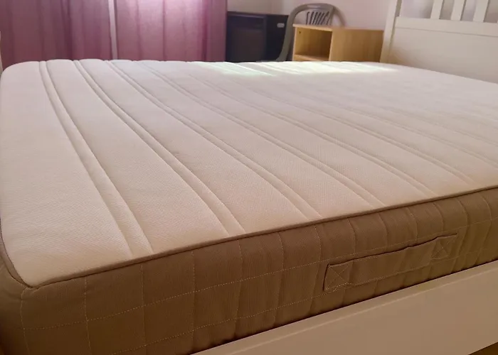 Taniandres * Paralímni